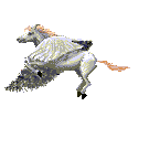 Pegasis.gif (12152 bytes)